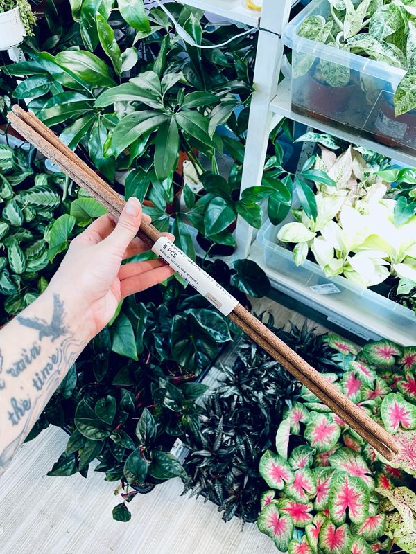 Kratiste prirodni štap za potporu 50cm (5 kom)