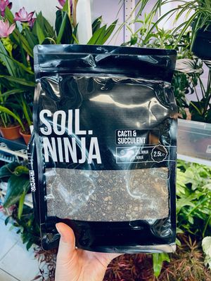 Soil Ninja ‘Cacti&Succulents’ 2,5L substrat za kaktuse i sukulente