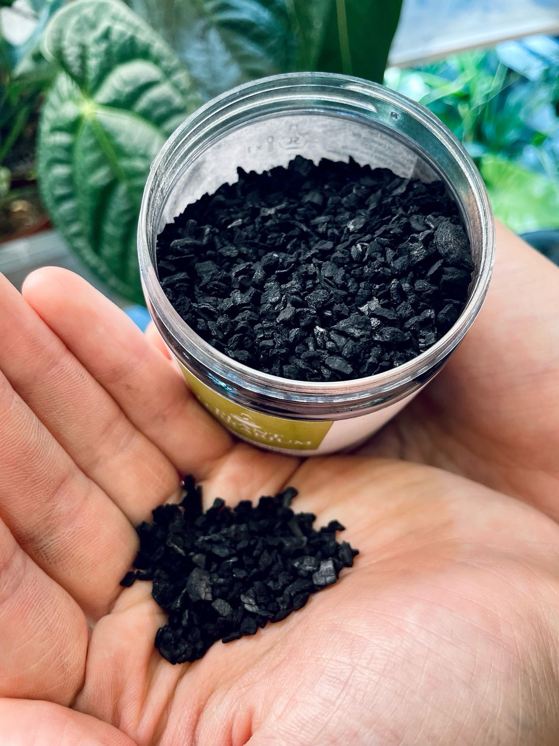 Hortikulturni ugljen za terarije