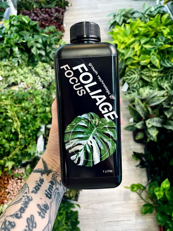 Growth Technology Foliage Focus 1L