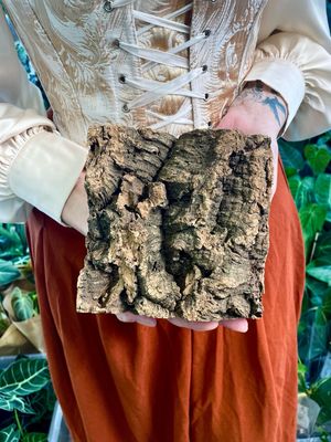 Cork Bark kora pluta 15cm