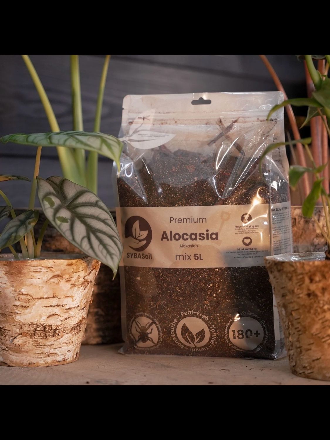 SYBASoil Alocasia mix- prozračni chunky mix/substrat za Alokasije 5L