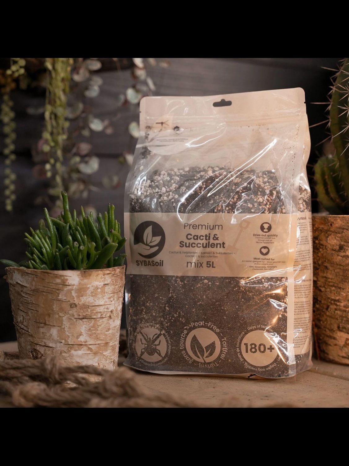 SYBASoil Cacti &amp; Succulent Mix - prozračni chunky mix/substrat za Kaktuse i Sukulente 5L