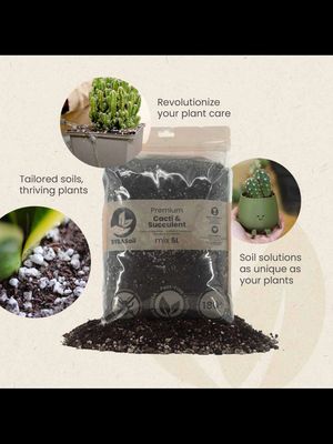 SYBASoil Cacti &amp; Succulent Mix - prozračni chunky mix/substrat za Kaktuse i Sukulente 5L