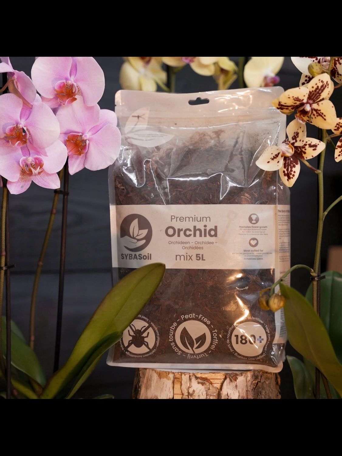 SYBASoil Orchid Mix - prozračni chunky mix/substrat za Orhideje 5L