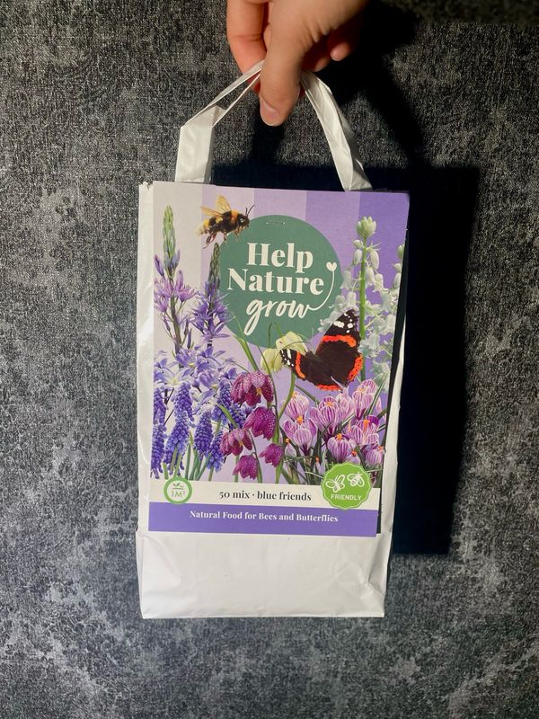 Blue friends (50 lukovica za pčele i leptire)