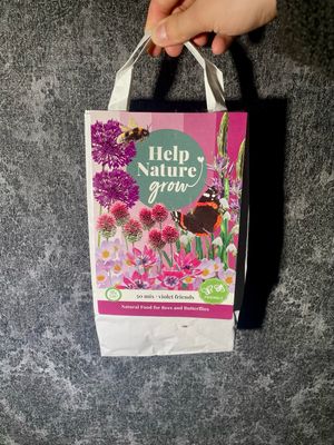 Violet friends (50 lukovica za pčele i leptire)