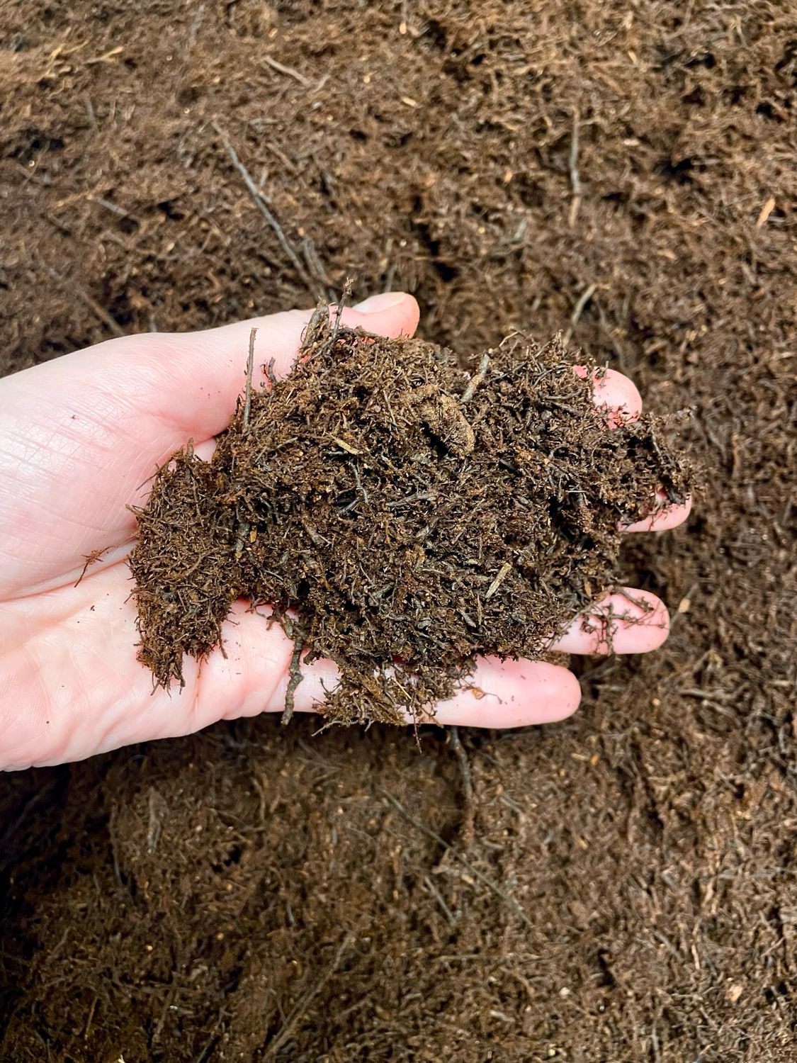 Tree fern Substrate (Dicksonia Spp.) Vlakna novozelandske drvolike paprati 2L