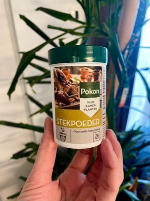 Pokon Cutting Powder 25gr (prah za reznice)