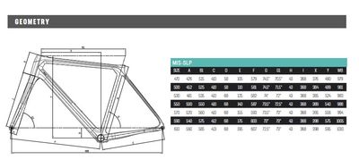 BIKE BIANCHI SPECIALISSIMA DB SUPER RECORD EPS