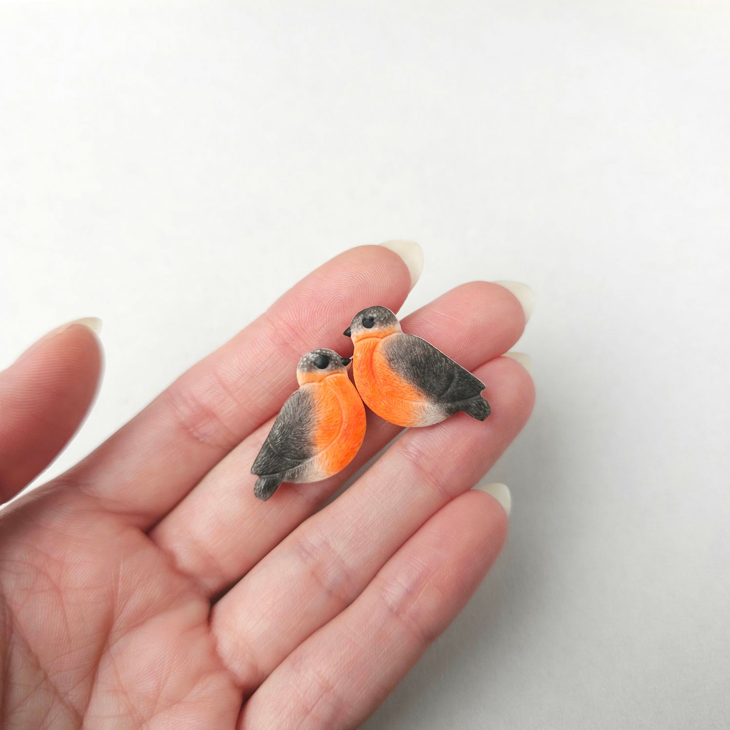 Bullfinch Studs