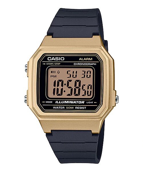 CASIO W-217