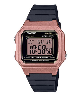 CASIO W-217