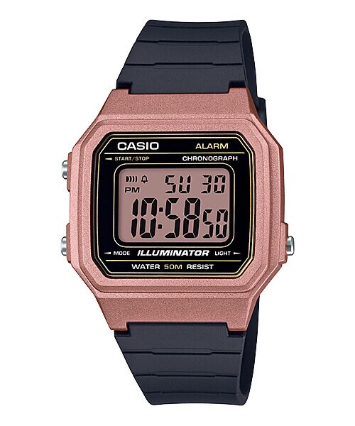 CASIO W-217