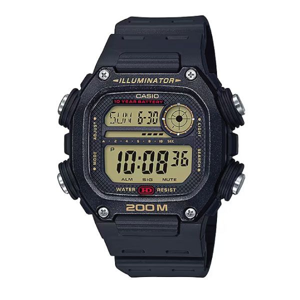 CASIO DW-291