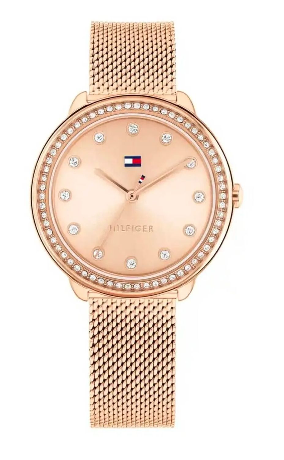 TOMMY HILFIGER, LYNN