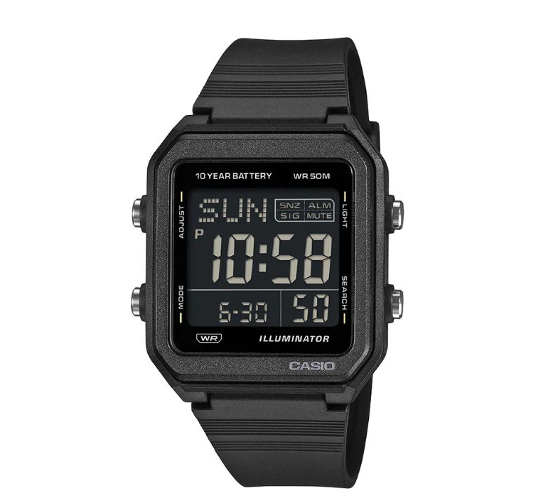 CASIO W-221H