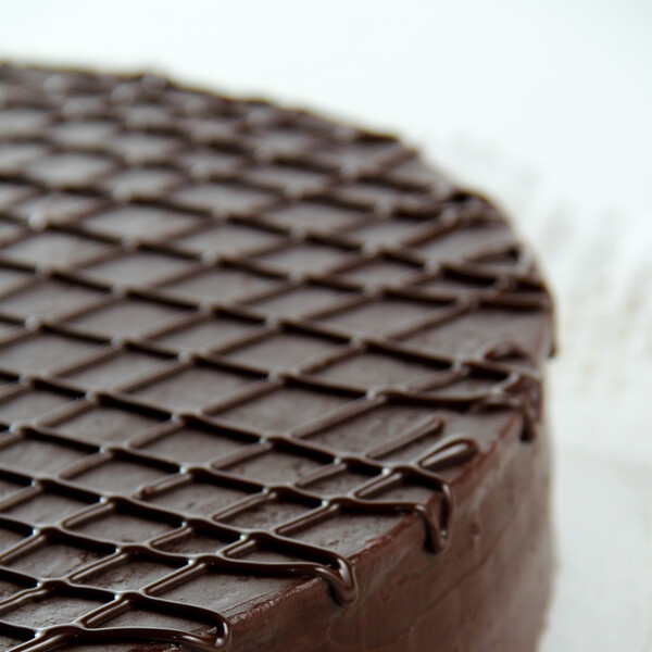 Delicioso Pastel de chocolate | MEDIUM CHOCOLATE SINGLE Delicioso Pastel de chocolate | MEDIUM CHOCOLATE SINGLE