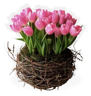 Arreglo Floral de 40 Tulipanes | NEST