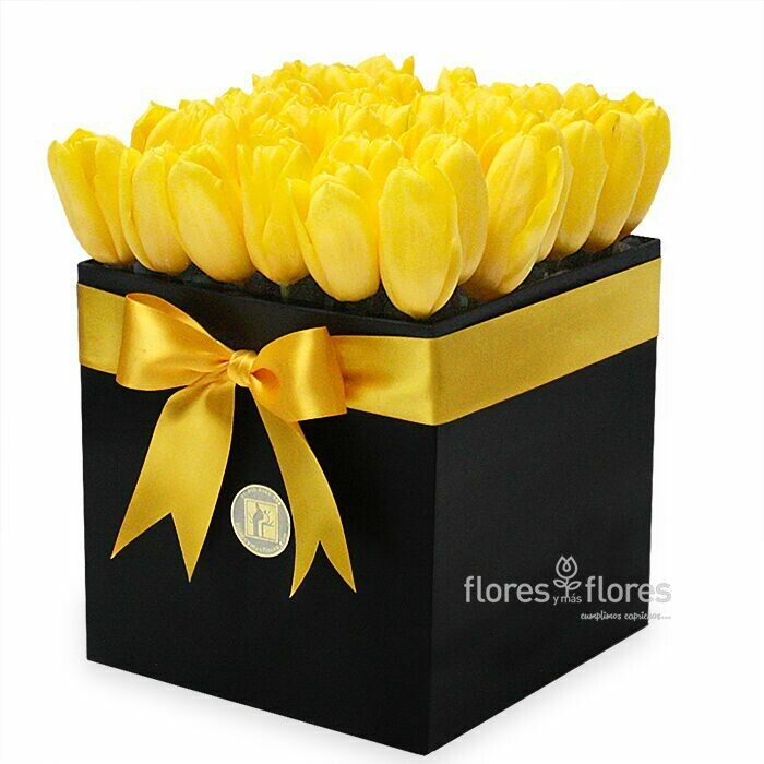 Tulipanes Amarillos en Caja | CAMILE Tulipanes Amarillos en Caja | CAMILE