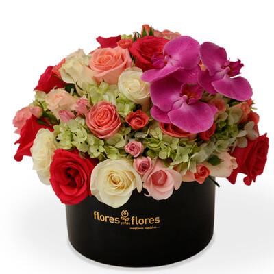Arreglo Floral Orquideas, Hortensias y Rosas | LIFE