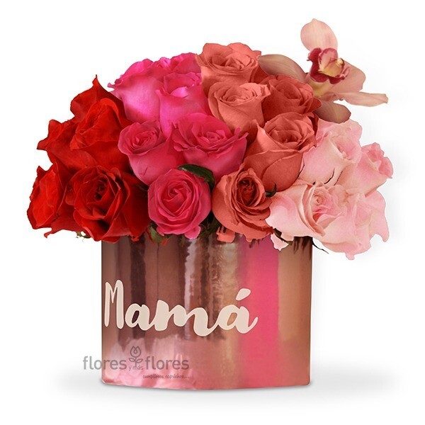 Caja de 50 rosas Premium rosa o rojo | CECILE Caja de 50 rosas Premium rosa o rojo | CECILE