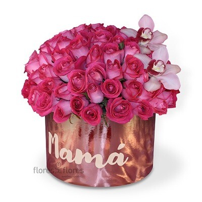 Caja de 100 rosas Premium | GISELLE F-0116 Caja de 100 rosas Premium | GISELLE F-0116
