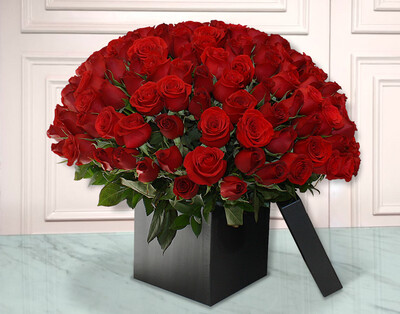 75 Rosas en caja- 90 MIN | LOVE