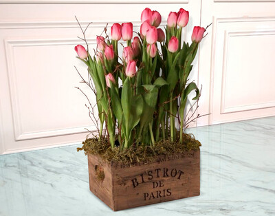 Caja con 20 Tulipanes | BISTROT