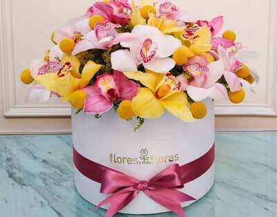 Bouquet de Orquídeas Cymbidium | REIMS