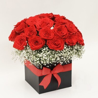 Bouquet de 36 Rosas | RED NIGHT