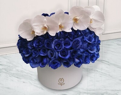 Bouquet de Rosas Azules con Orquídeas | AUTHENTIQUE