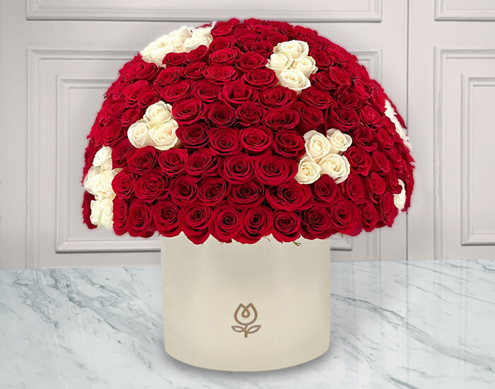 150 Rosas Rojas y Blancas en caja | JULIA