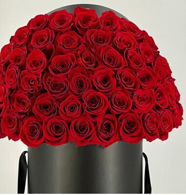 200 Rosas Espectaculares | TWOHUNDRED