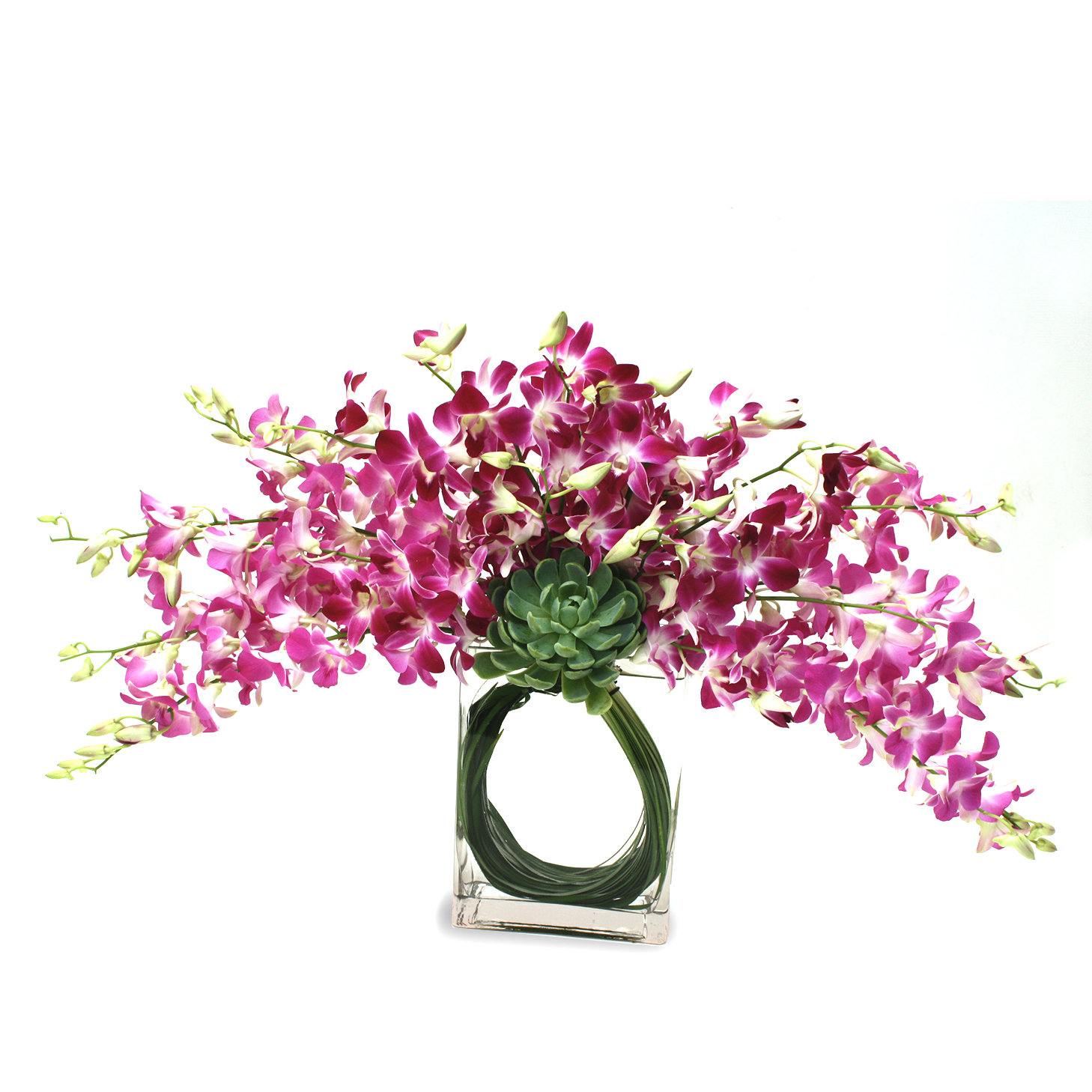 Arreglo Floral Orquideas Dendrobium | CELEBRACION