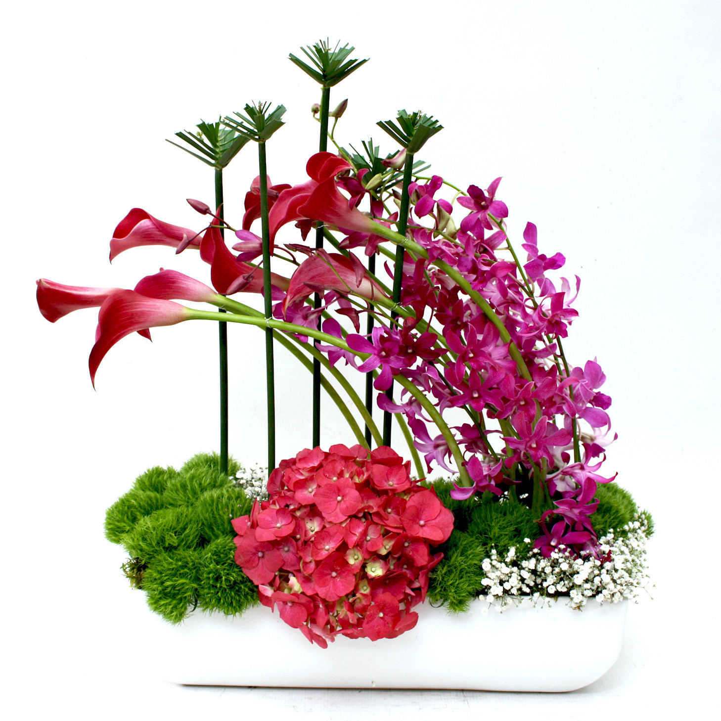 Arreglo Floral Orquideas, Callas y Hortensias | ANIMO