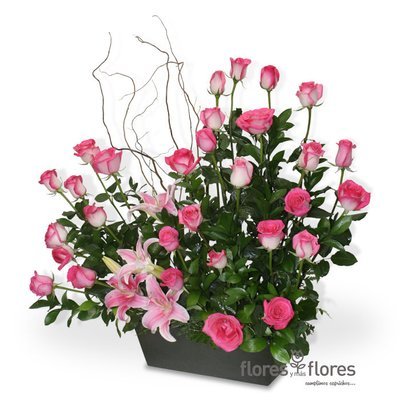Arreglo Floral Rosas y Stargeizer | RISCO