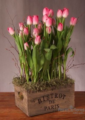 Arreglo Floral Tulipanes | BISTROT