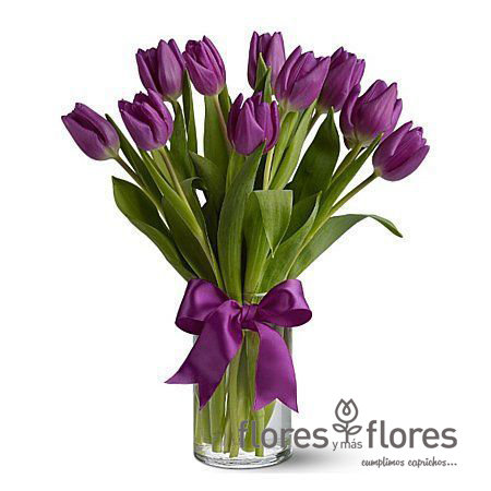 Bouquet de 10 Tulipanes | AMOUR