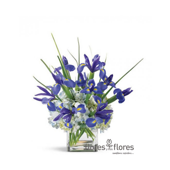 Bouquet de Iris y Hortensias | BRILLAR Bouquet de Iris y Hortensias | BRILLAR