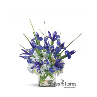 Bouquet de Iris y Hortensias  |  BRILLAR