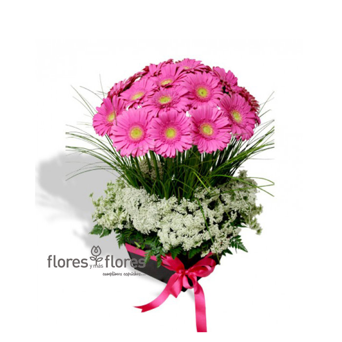 Arreglo de Gerberas | CALOR Arreglo de Gerberas | CALOR