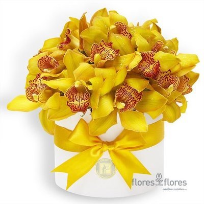Bouquet Orquideas Cymbidium Amarillas en Caja | AMELIE