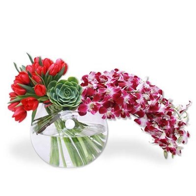 Arreglo Floral  Orquideas y Tulipanes |  BRIGITTE
