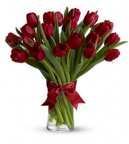 Bouquet de 20 Tulipanes | ALESSIA