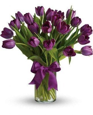 Bouquet de 20 Tulipanes  Morados | BEATRICE  T-0021