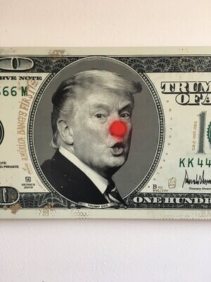 Trump States Dollar XXXL 442/500