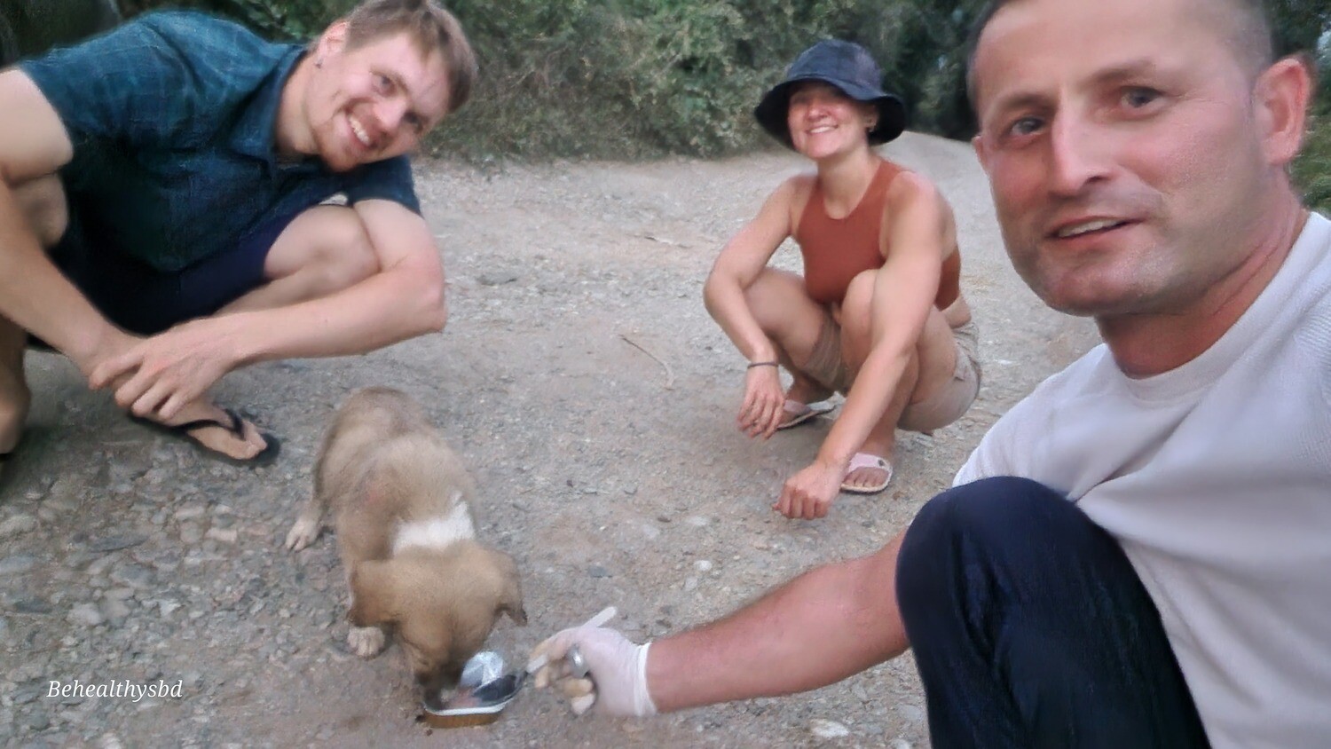 Welfare Abandoned Animals!