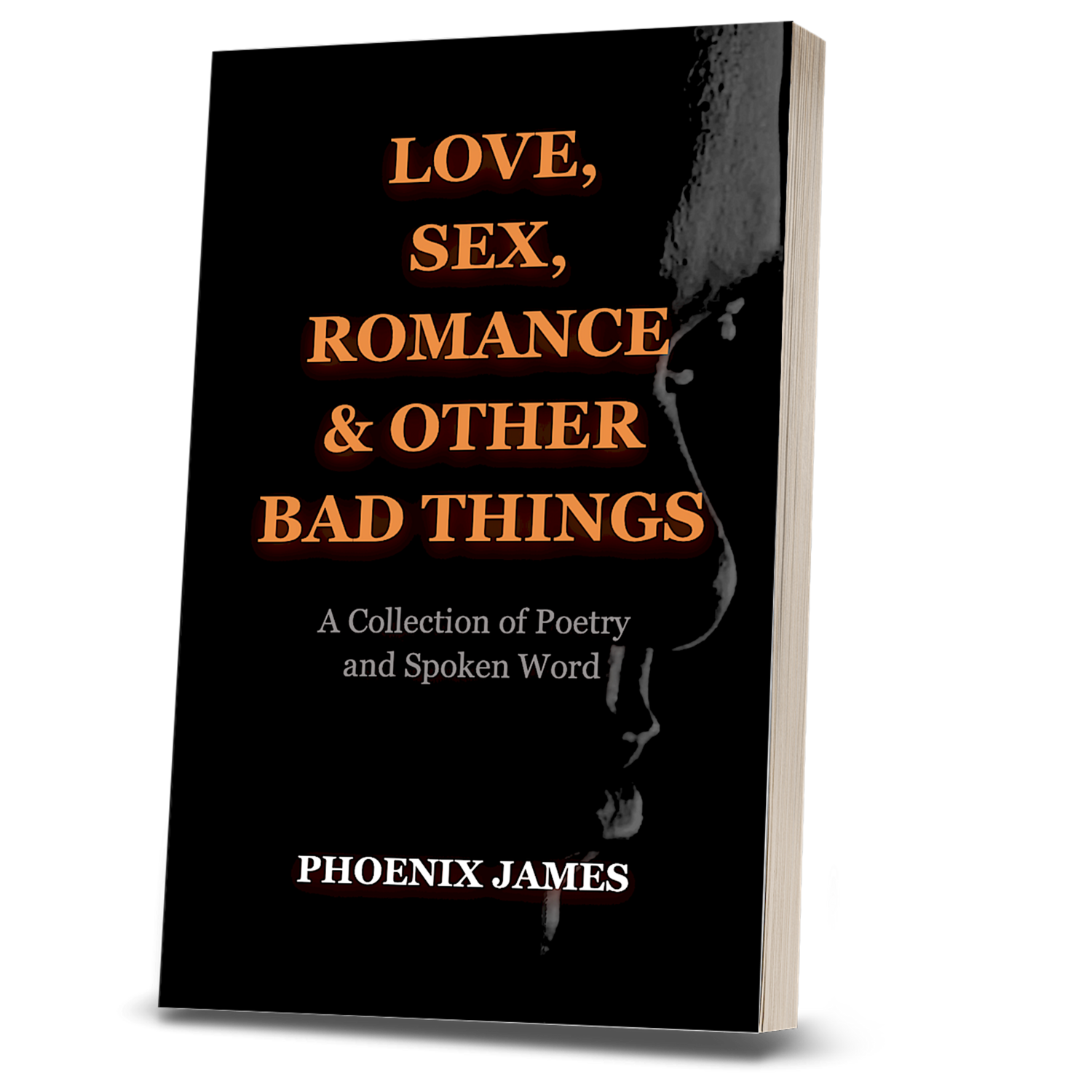 LOVE, SEX, ROMANCE & OTHER BAD THINGS (Paperback Book)