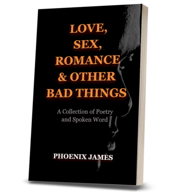 LOVE, SEX, ROMANCE & OTHER BAD THINGS (Paperback Book)
